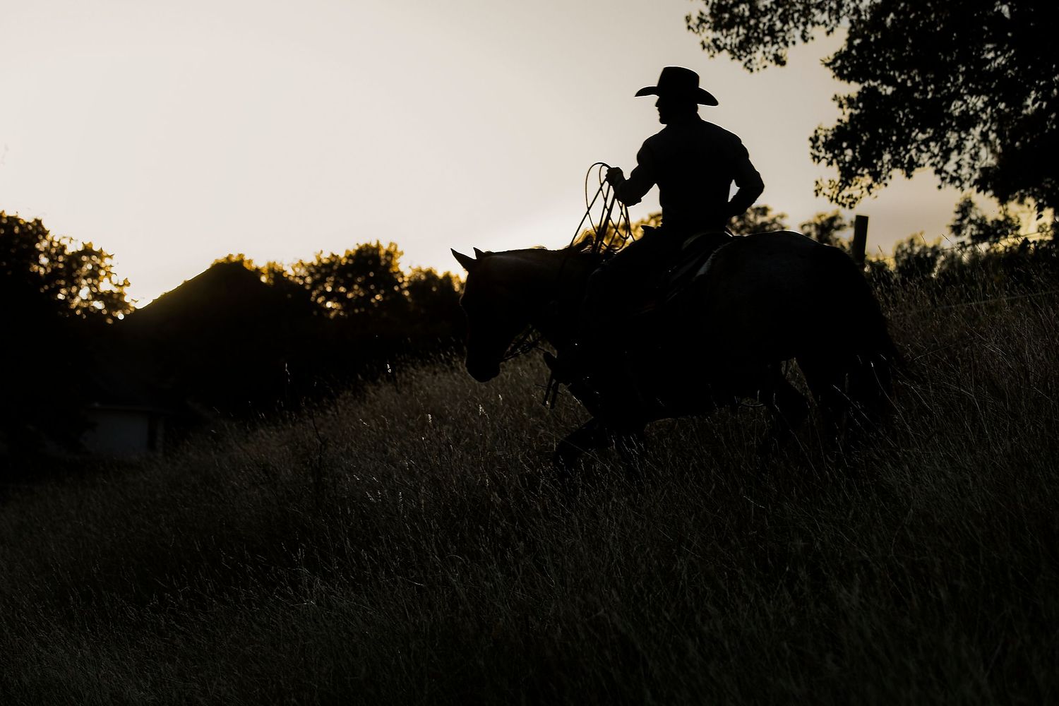 A silhouetted horse and rider against a dusky sunset sky.