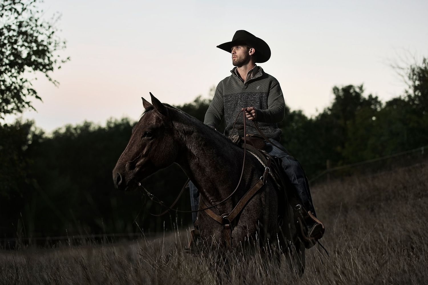 A rider guides their dark horse through tall grass at sunset.