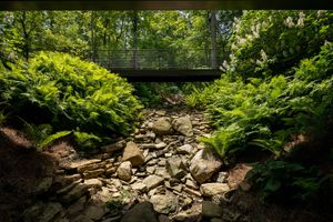 Photo of home with grass roof by Residential Architecture photographer in Cincinnati