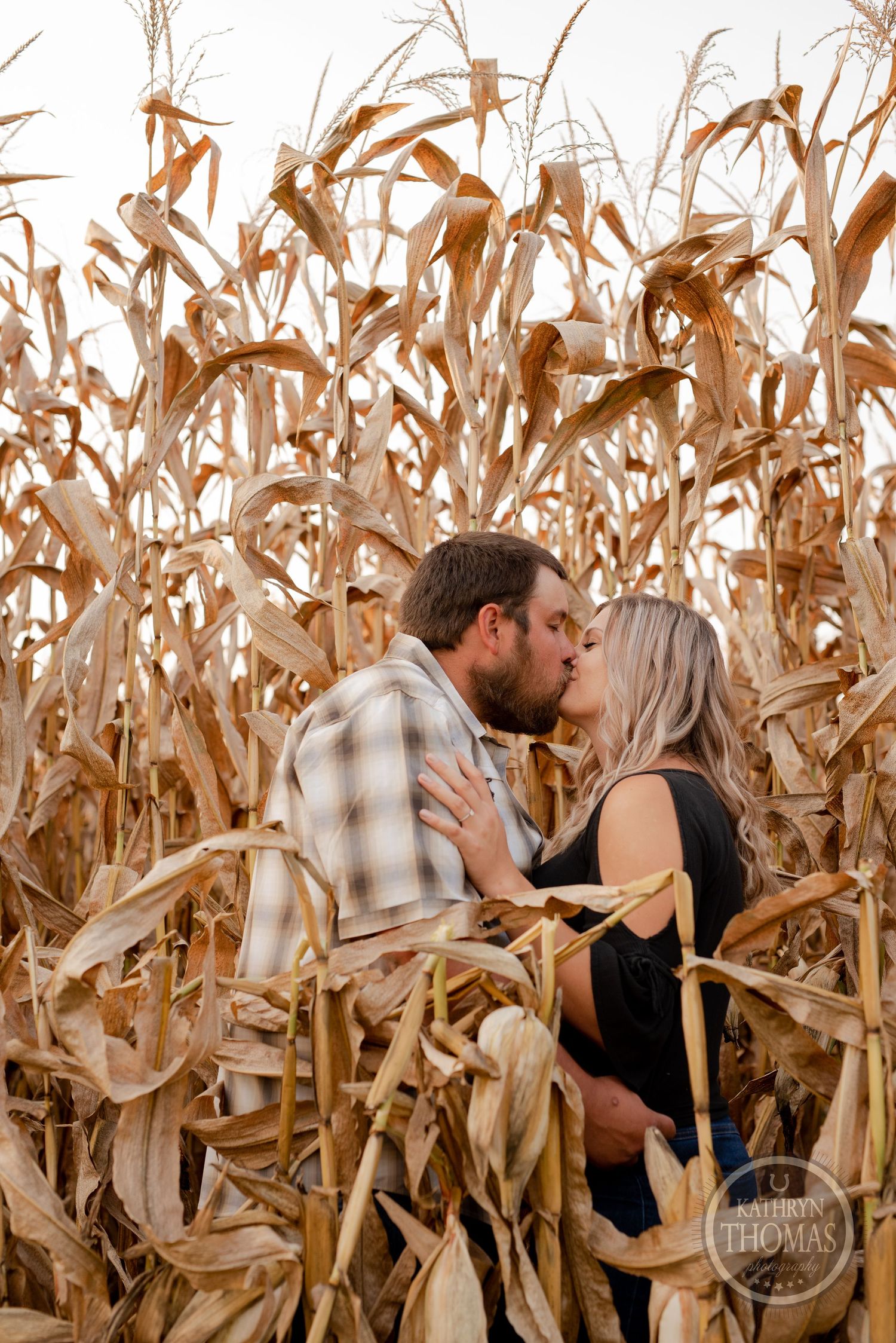 A couple shares a romantic moment among tall dried corn stalks in a farm field.