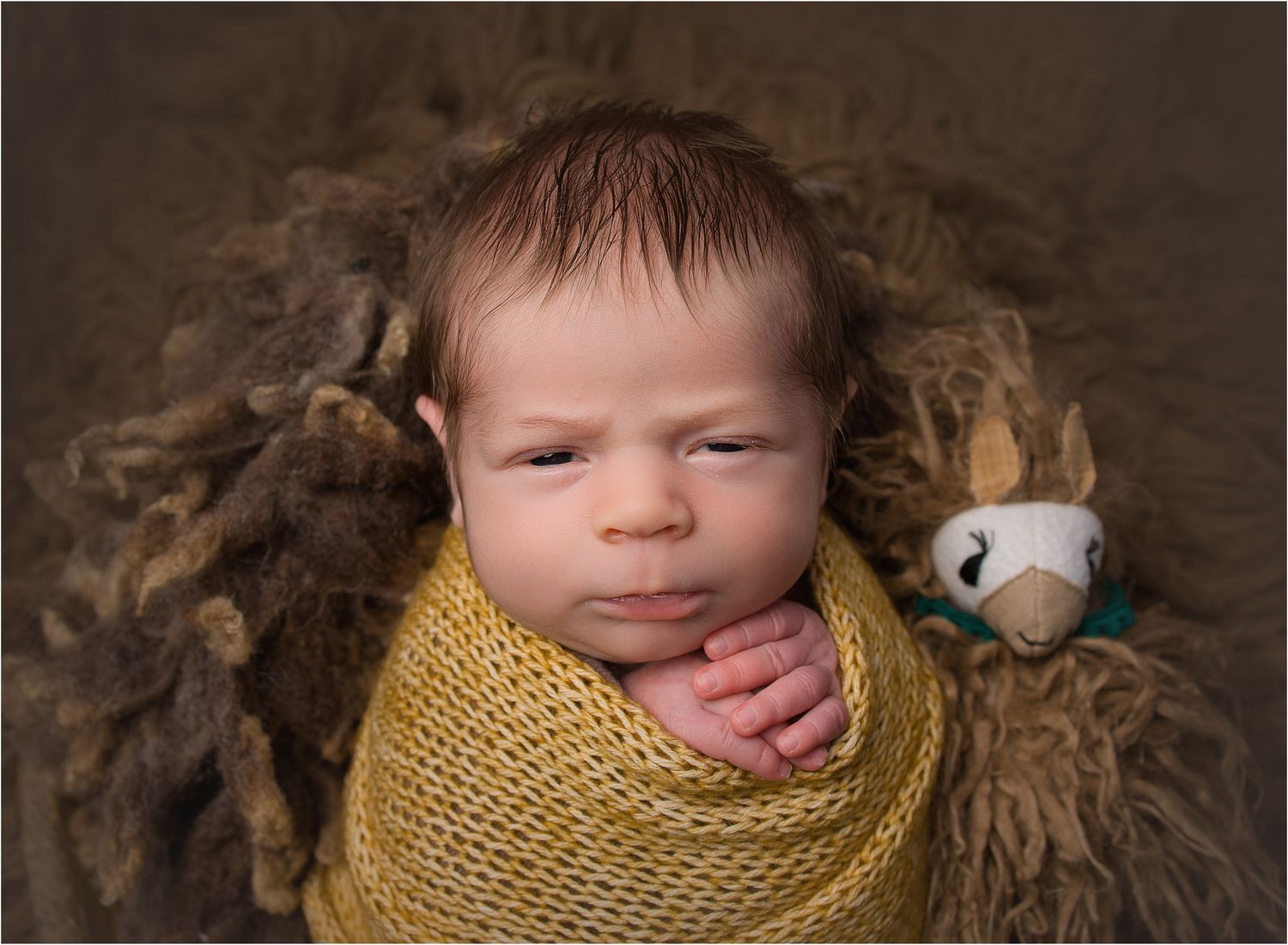 Photo of newborn baby boy swaddled in yellow knit wrap awake, with llama, by valerie kay Photography