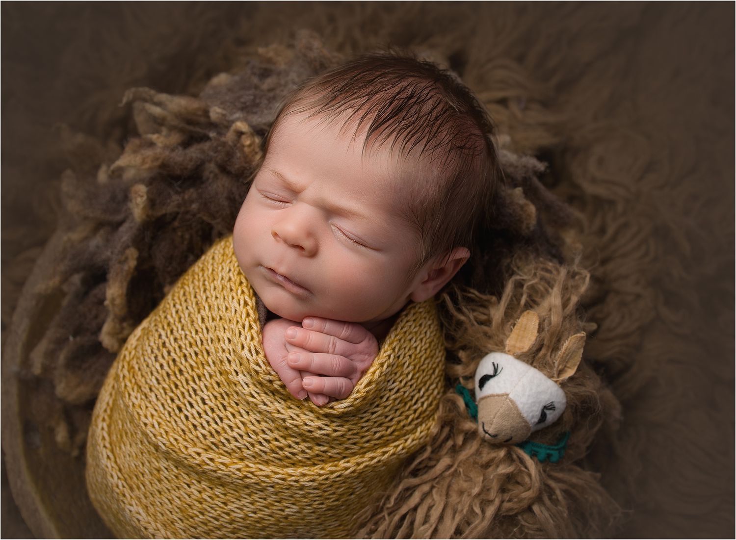 Photo of newborn baby boy swaddled in yellow knit wrap posed with a stuffed llama by Valerie Kay Photography