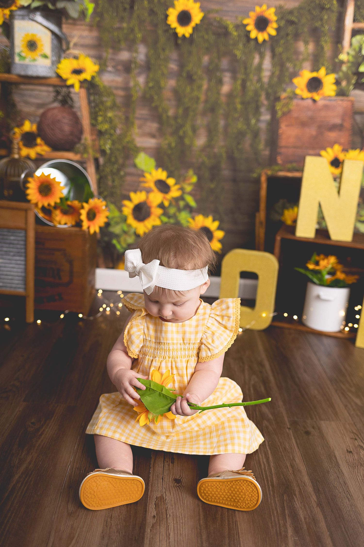 Cakesmash photoshoot Waukesha, Hartland, Oconomowoc, WI