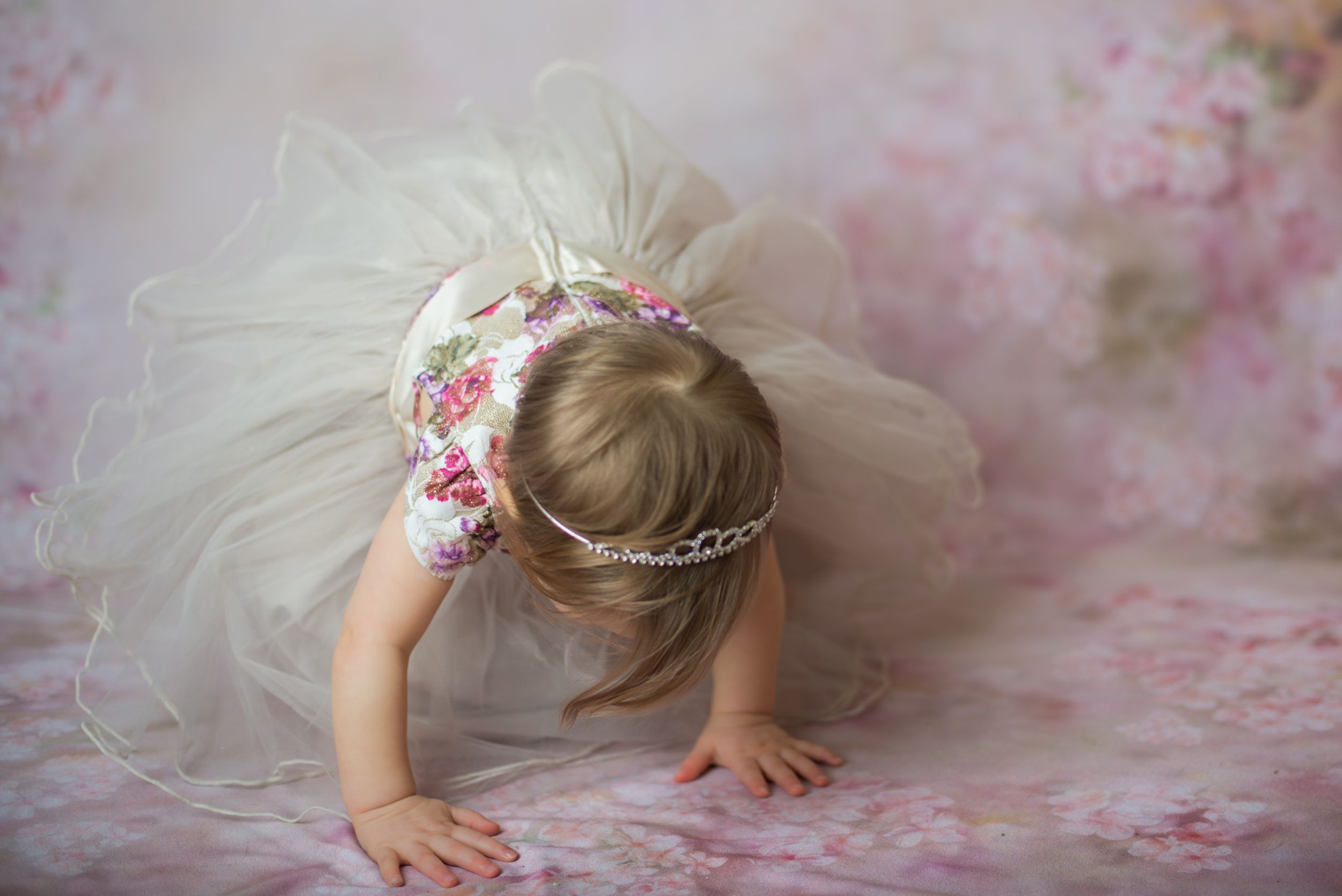 Papillion, Nebraska | One Year Cake Smash Session