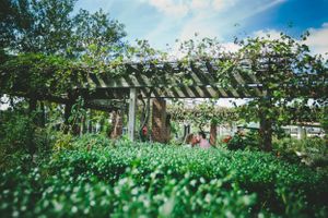 #PhiladelphiaWeddingPhotographer #PAEngaged #TheKnot #AlyssaAndrewPhotography #PAEngagementPhotographer #PAPhotographer
