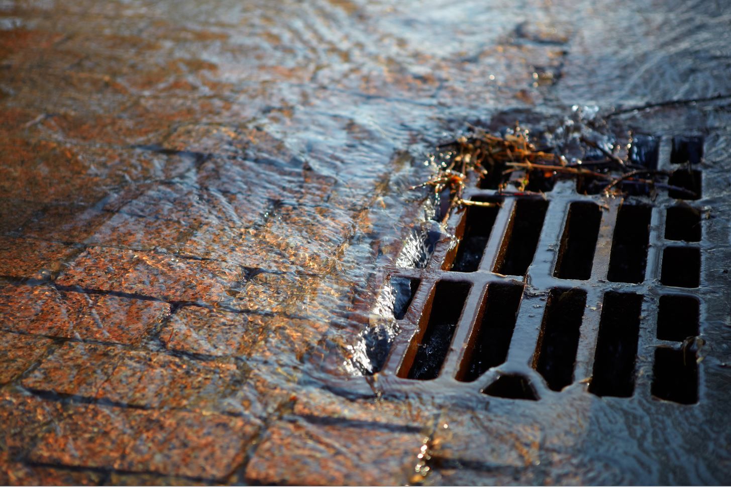 Excavating, construction, home repairs, yard repairs