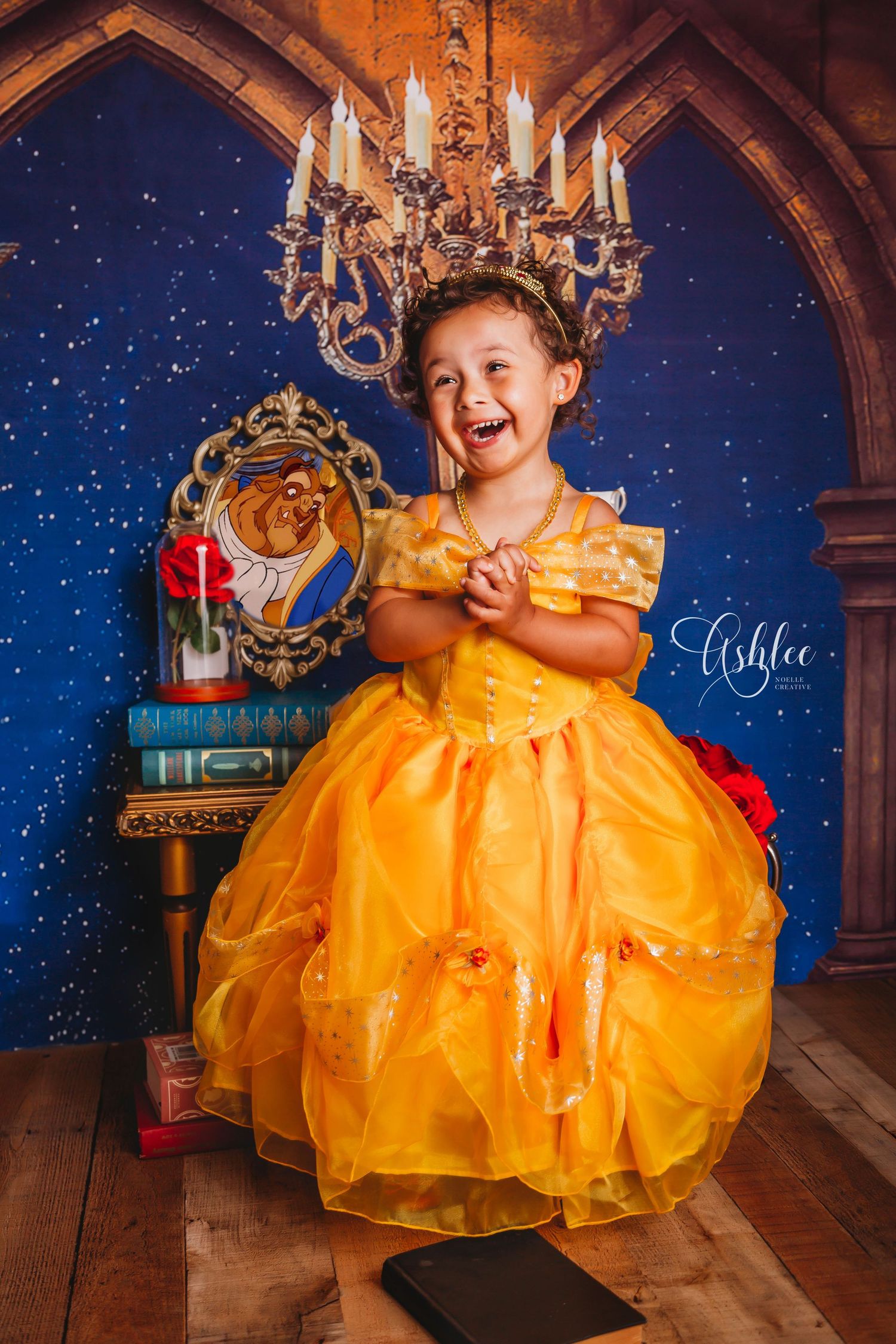 Tampa Baby Photographer- Tampa cake smash baby photographer-Beauty and the Beast Cake Smash