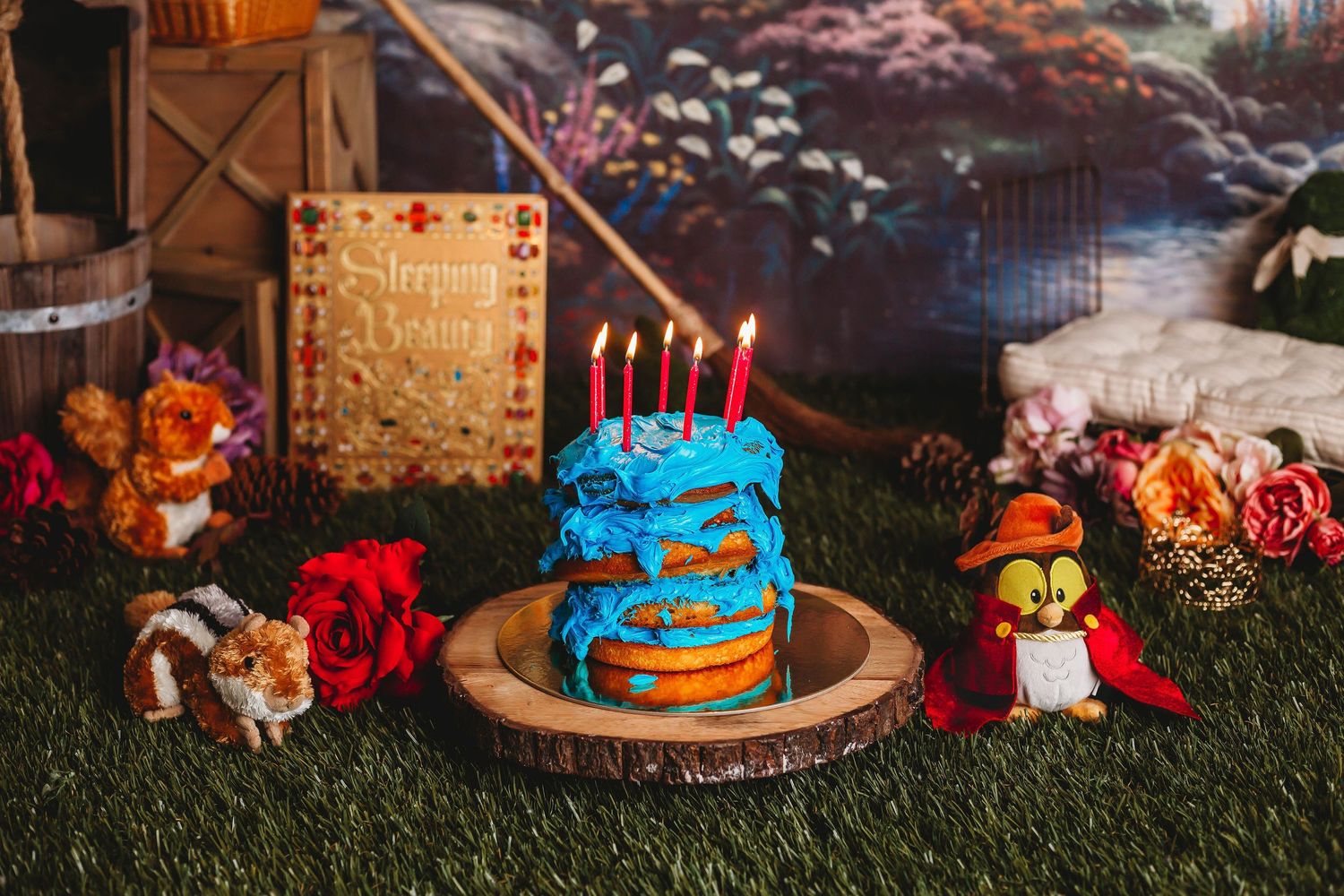 Tampa Baby Photographer- Tampa cake smash baby photographer- Sleeping beauty cake smash