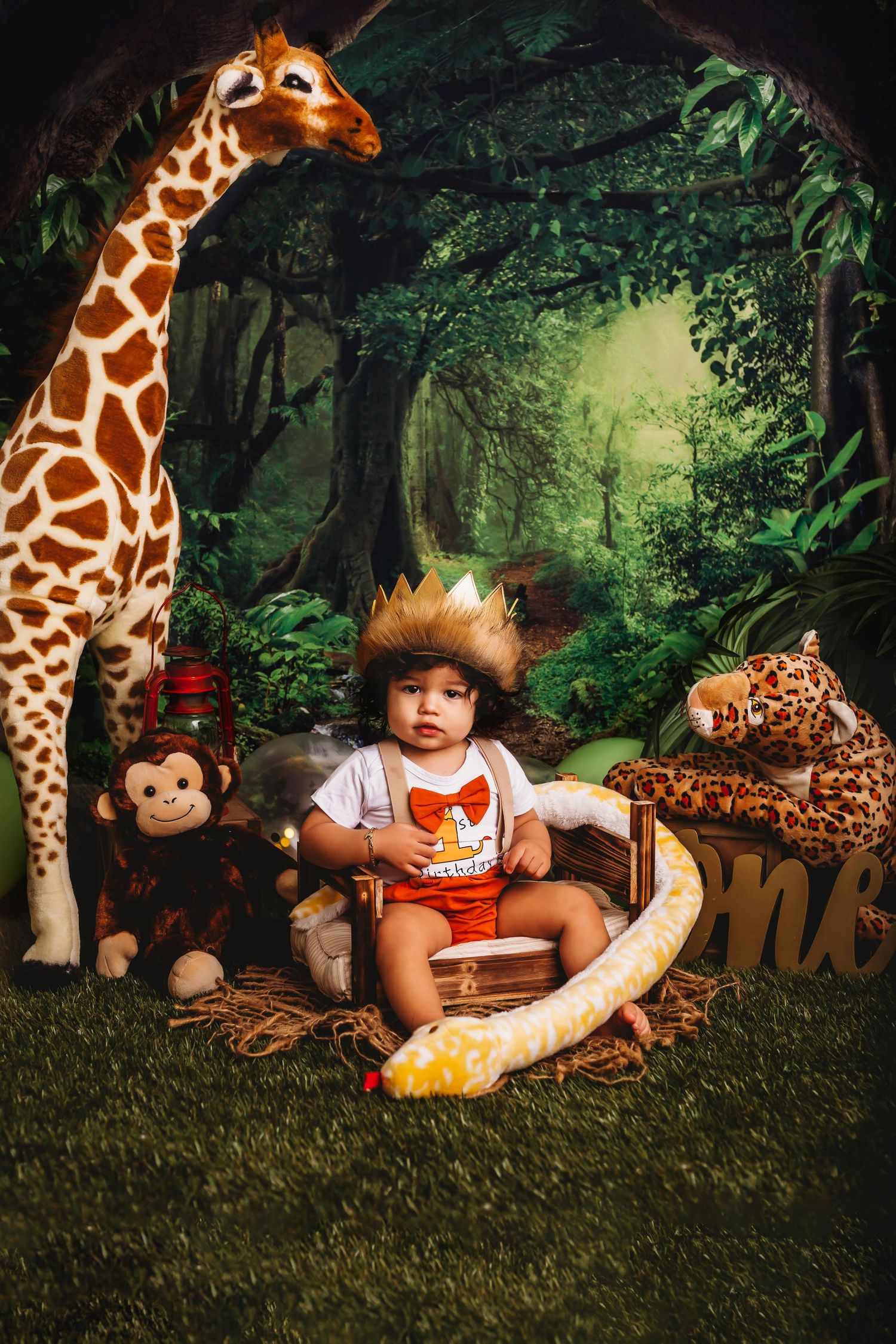 Tampa Baby Photographer- Tampa cake smash baby photographer- Wild One- First Birthday Photos