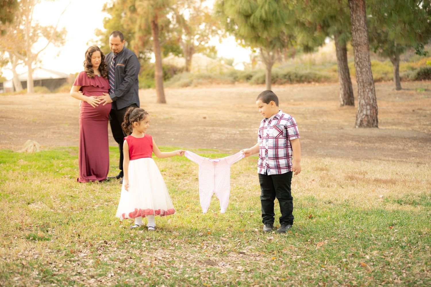 Family enjoying a relaxed photo session in a sunlit park setting.