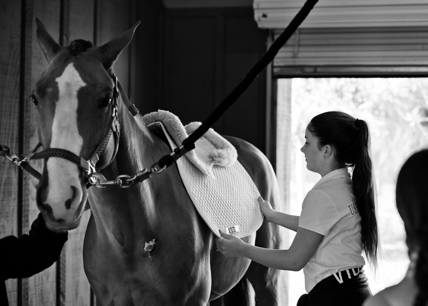 kentucky Indiana lifestyle family photographer photos couples children kids Louisville Lexington branding