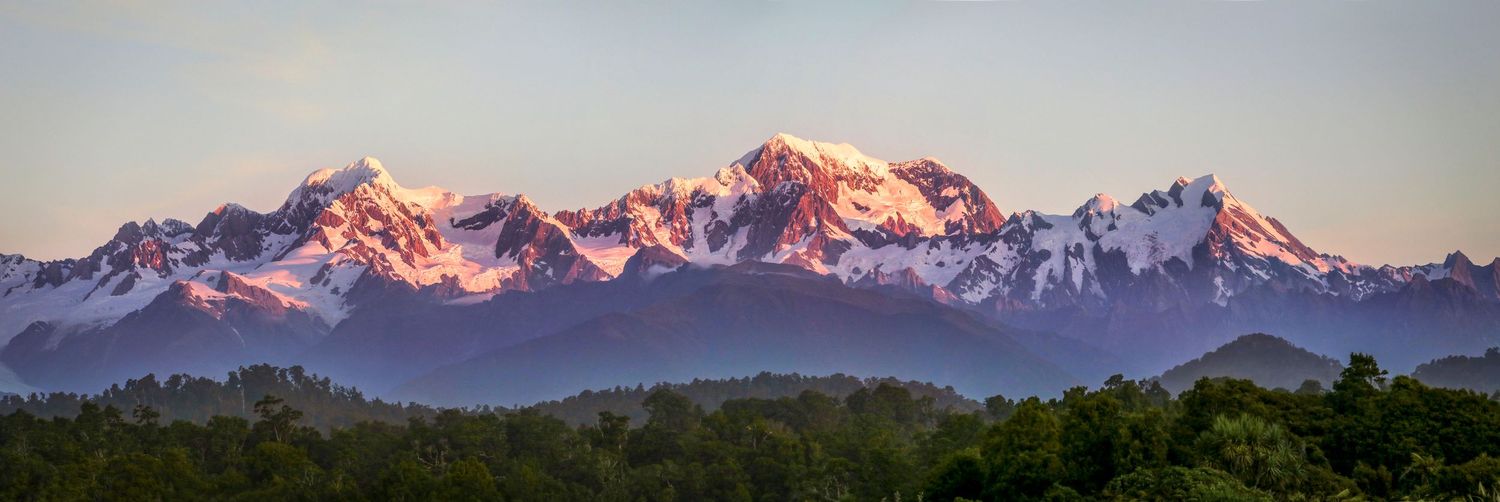 Panoramic view of snow-capped mountain peaks bathed in pink alpenglow at sunset above lush green forest.