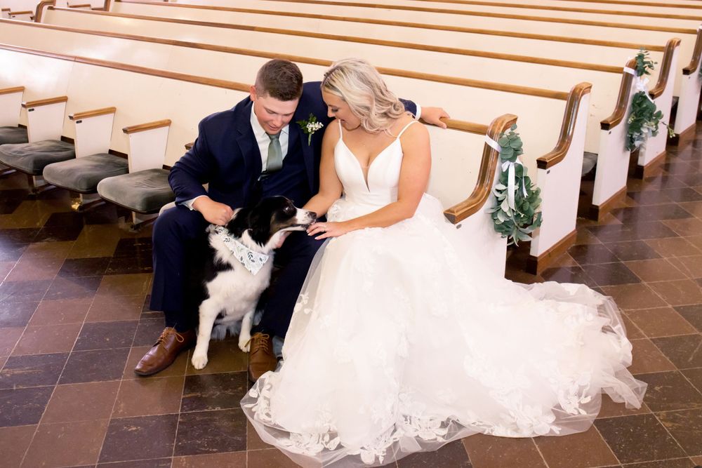 Wedding couple sits in church pew with small white dog.