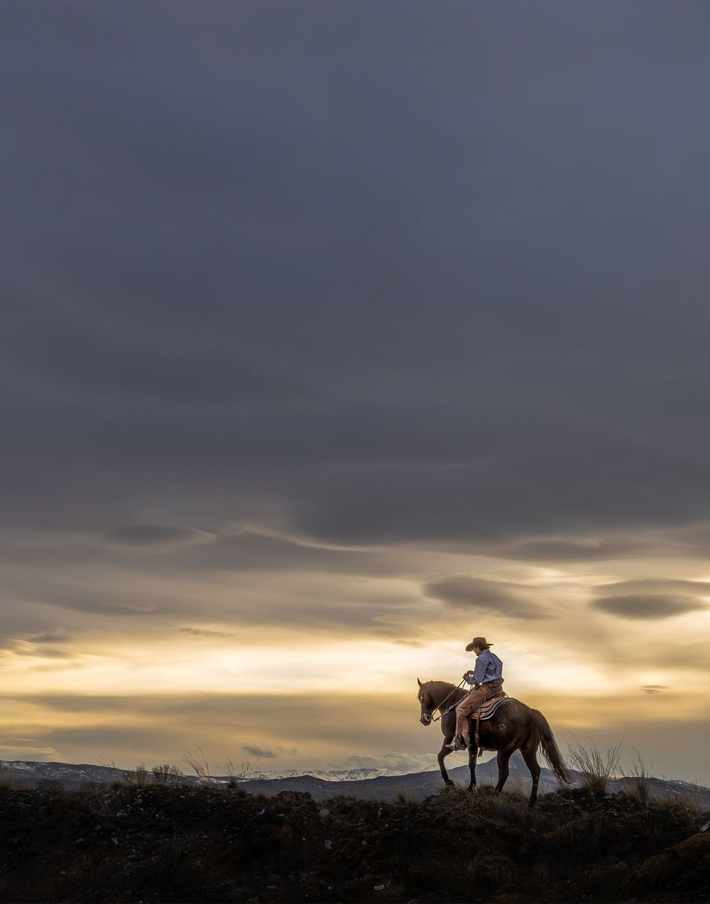 A dramatic silhouette of a horse and rider against a sunset sky with storm clouds.