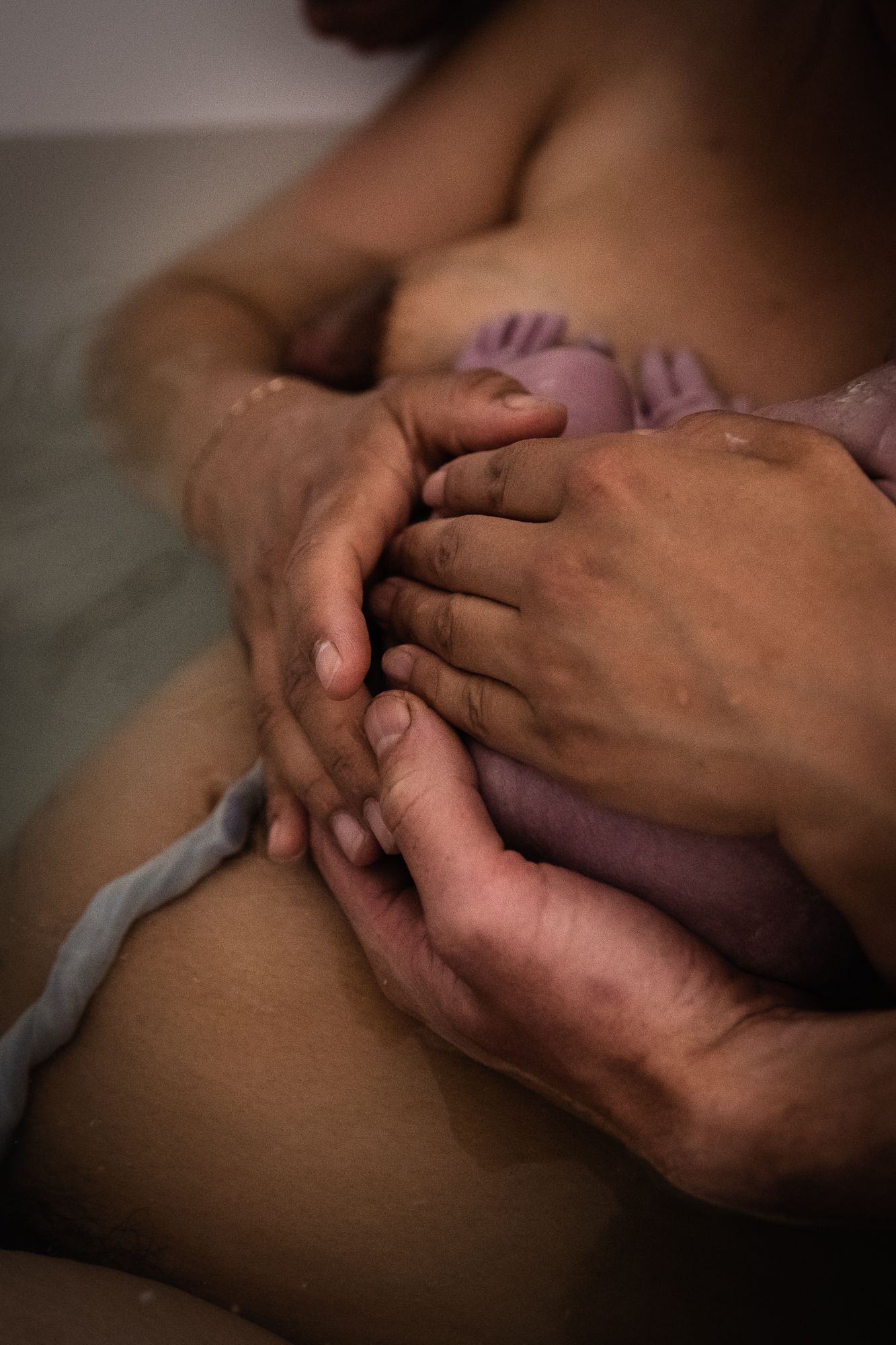 Close-up photo of hands holding a newborn baby swaddled in purple fabric.