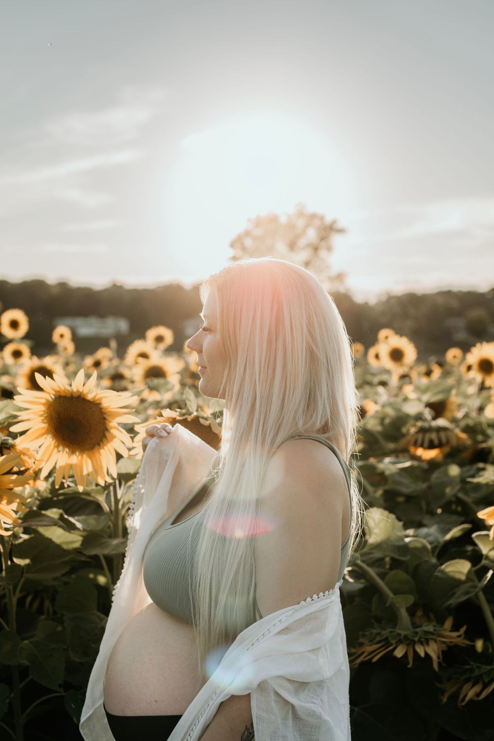Dreamy sunset scene in a field of golden sunflowers with soft lens flares.