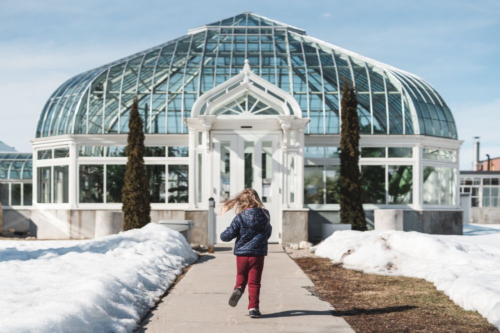 Toddler runs toward a bright blue glass greenhouse down a sidewalk. Snow still covers the grass.
