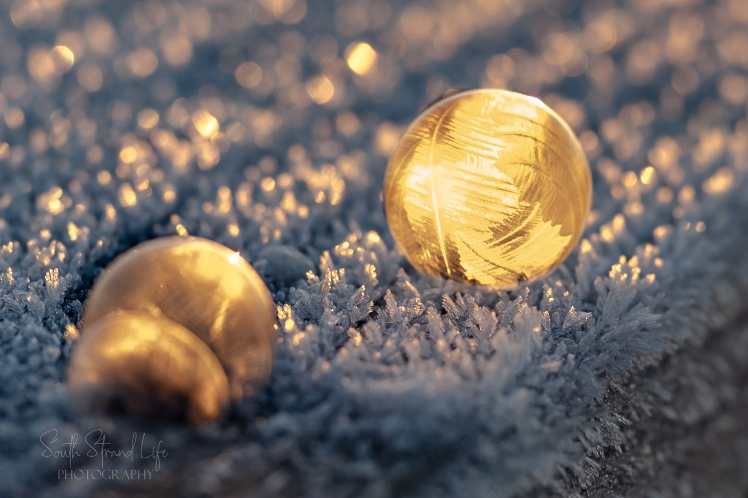 Frozen Ice bubbles