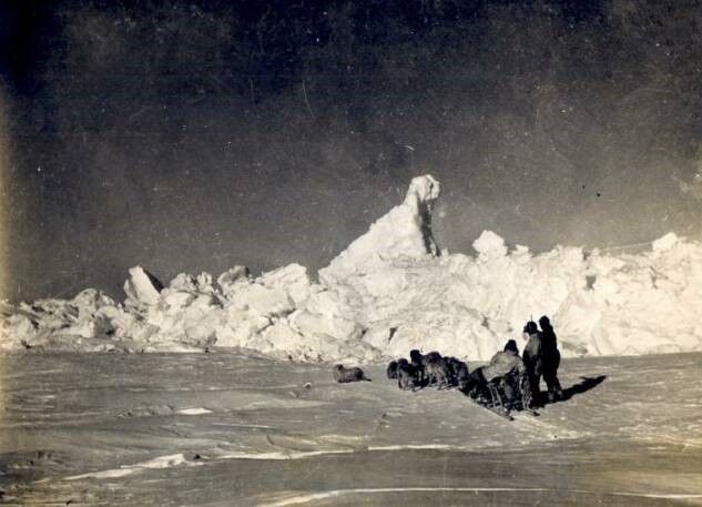 Chinook dog team in Antarctica on the ice.