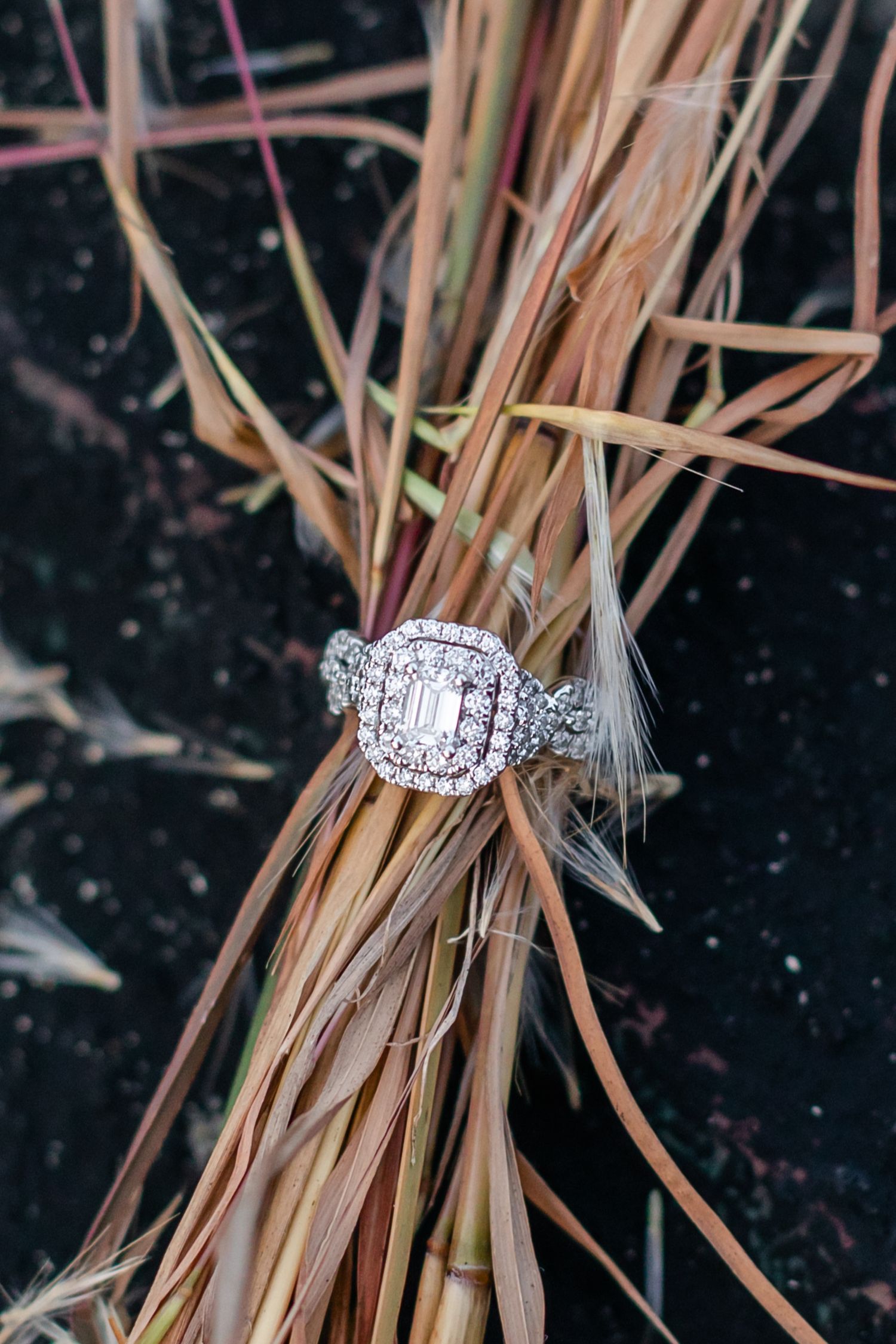 Diamond engagement ring with halo setting photographed on dried grass stems.