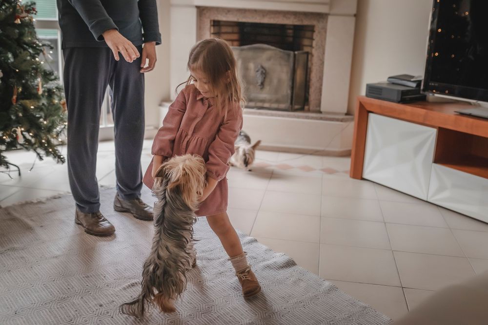 Sessão fotográfica de fotografia de familia Natal CRUA