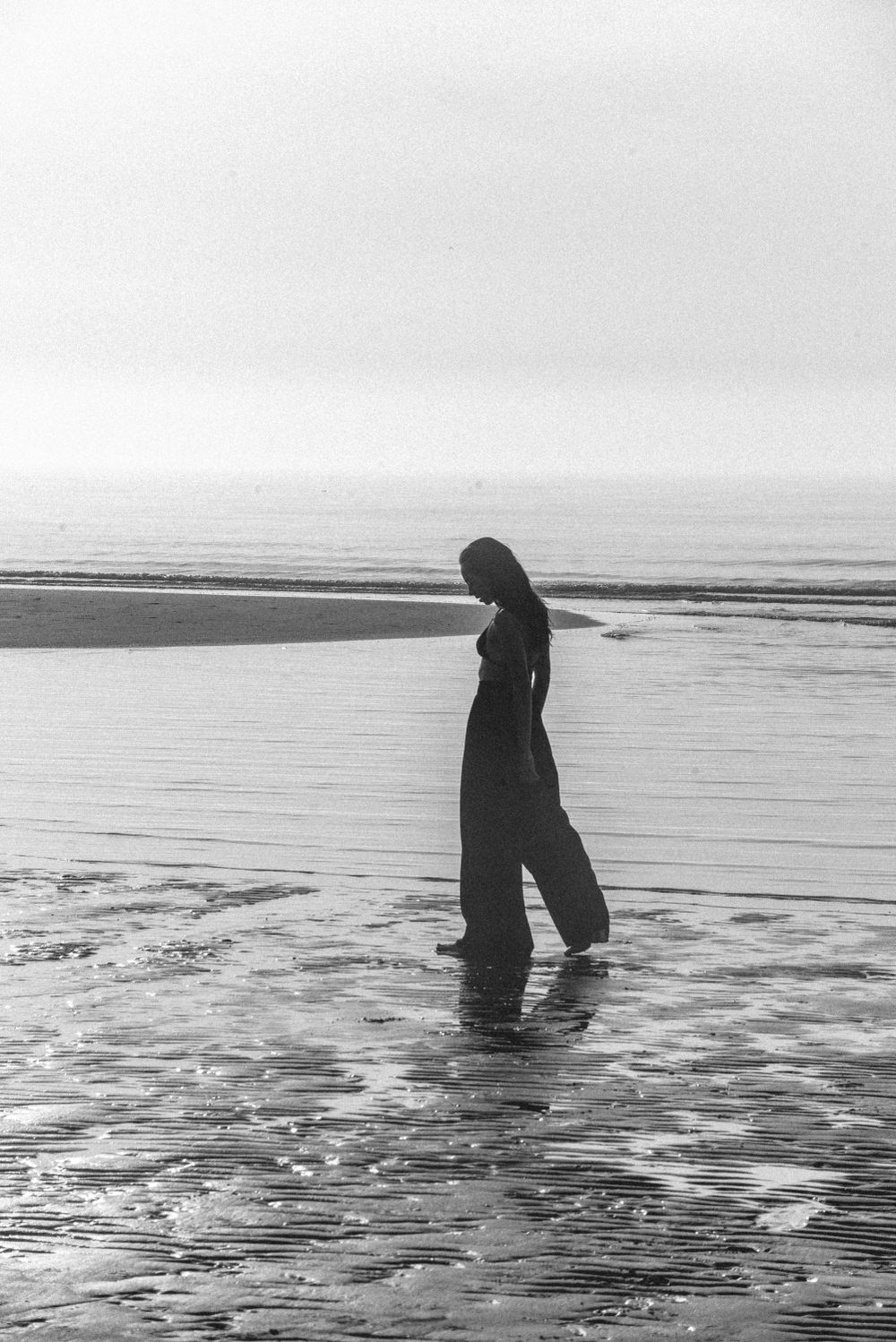 Dark silhouettes wade through shallow coastal waters at low tide.