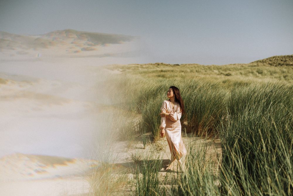 Tall grass sways in the wind along a scenic beach shoreline during golden hour.