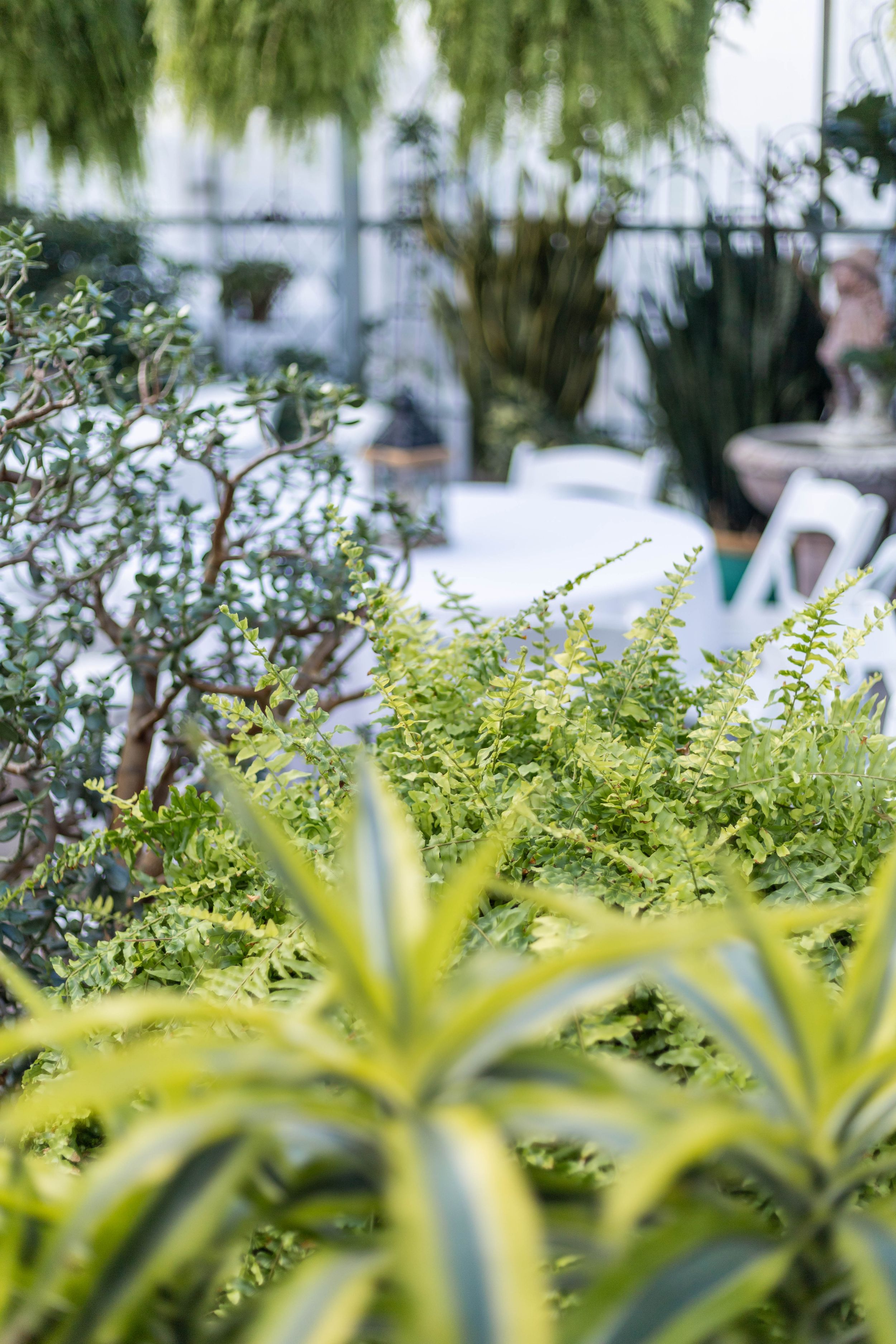 Greenery at Le Jardin venue