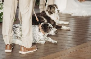 Close-up view of formal shoes and dress hems on a wooden deck.