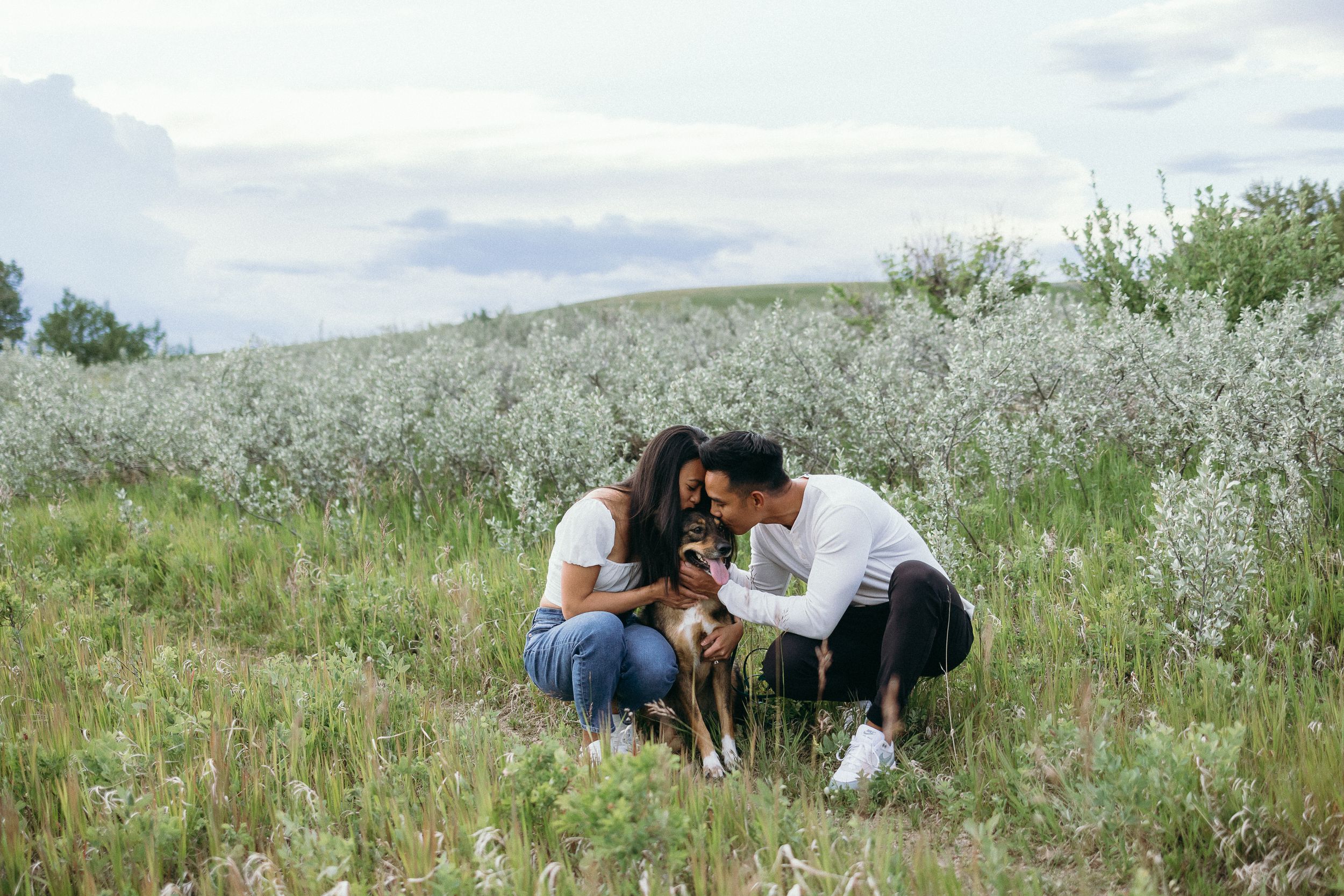 People exploring wildflower meadow with white blooms stretching across rolling hills.