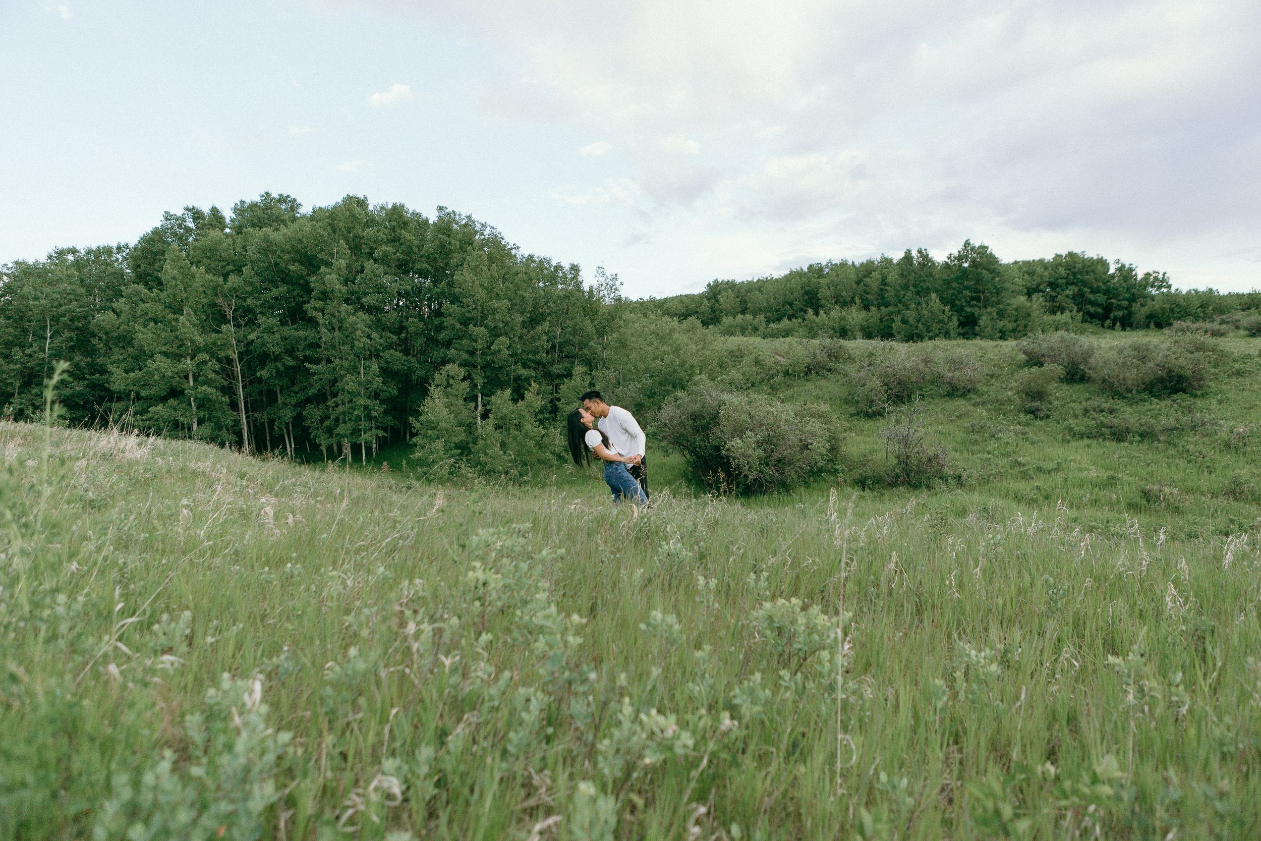 A scenic view of grassy hills with scattered trees and bushes in a natural landscape.