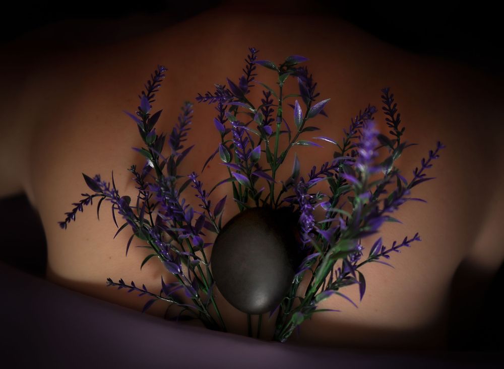 Purple lavender flowers arranged against dark background creating dramatic silhouette.