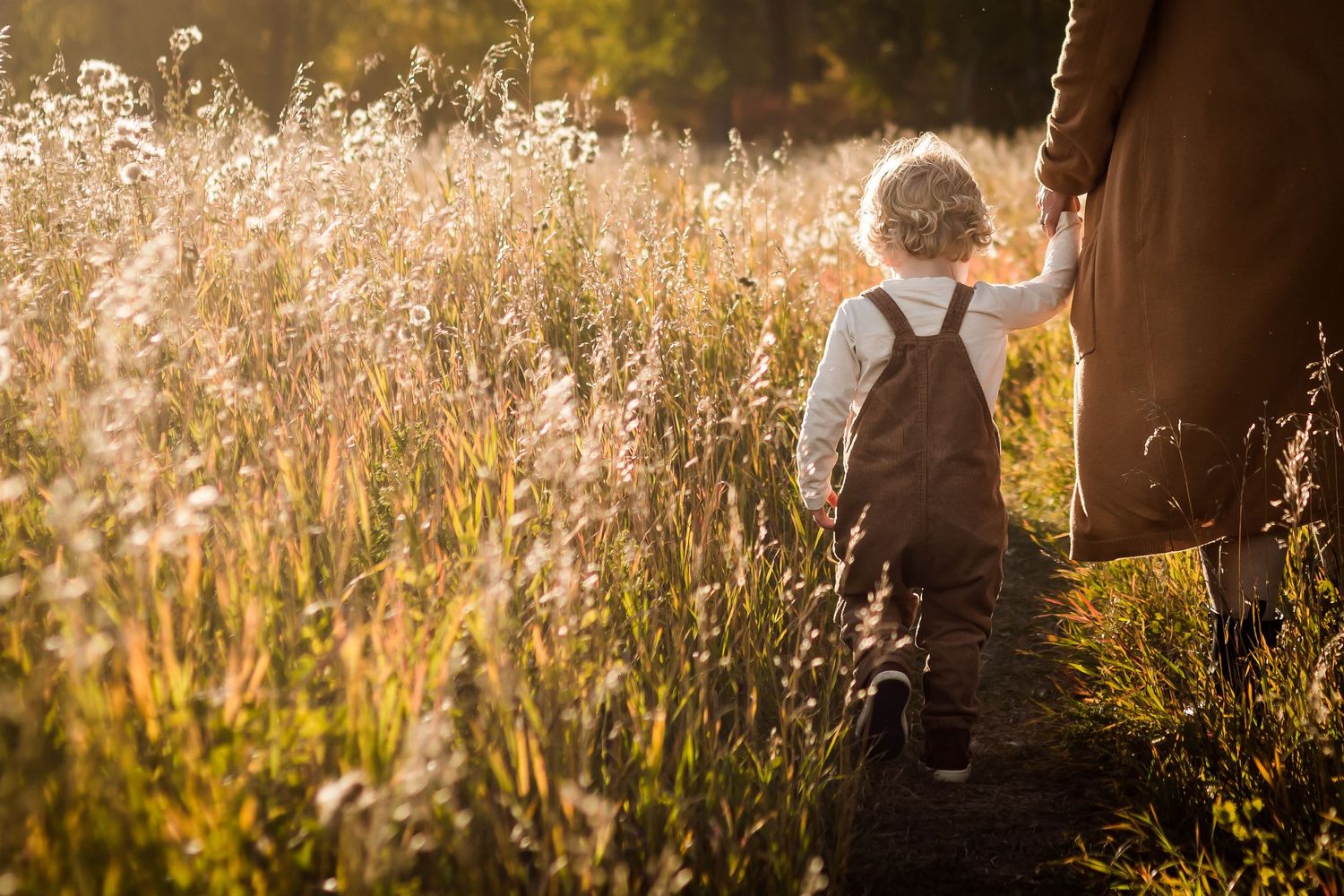 Beautiful golden hour family photo in Fish Creek Park Calgary AB by lifestyle photographer.