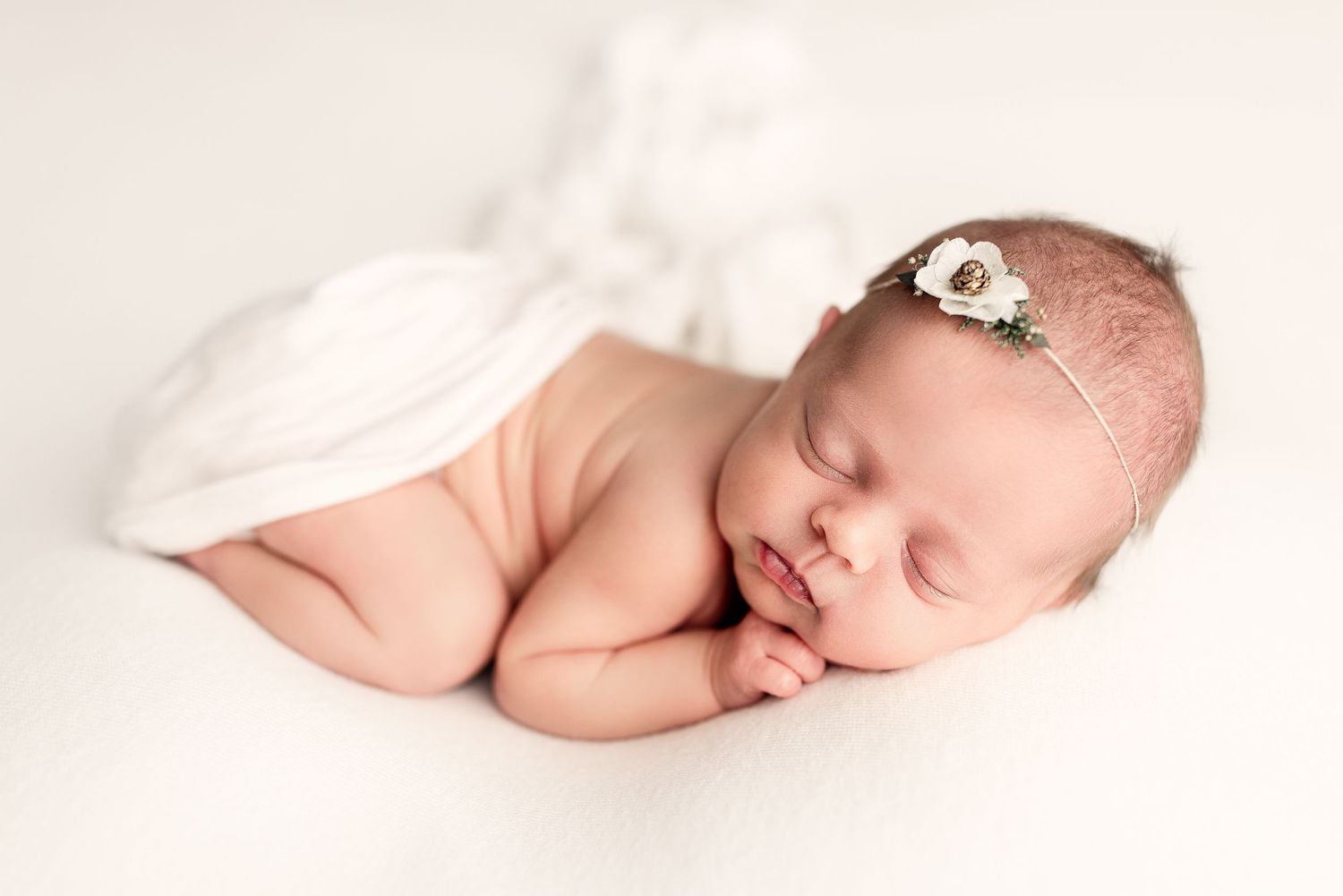 Newborn Photography Photoshoot in Marion Indiana