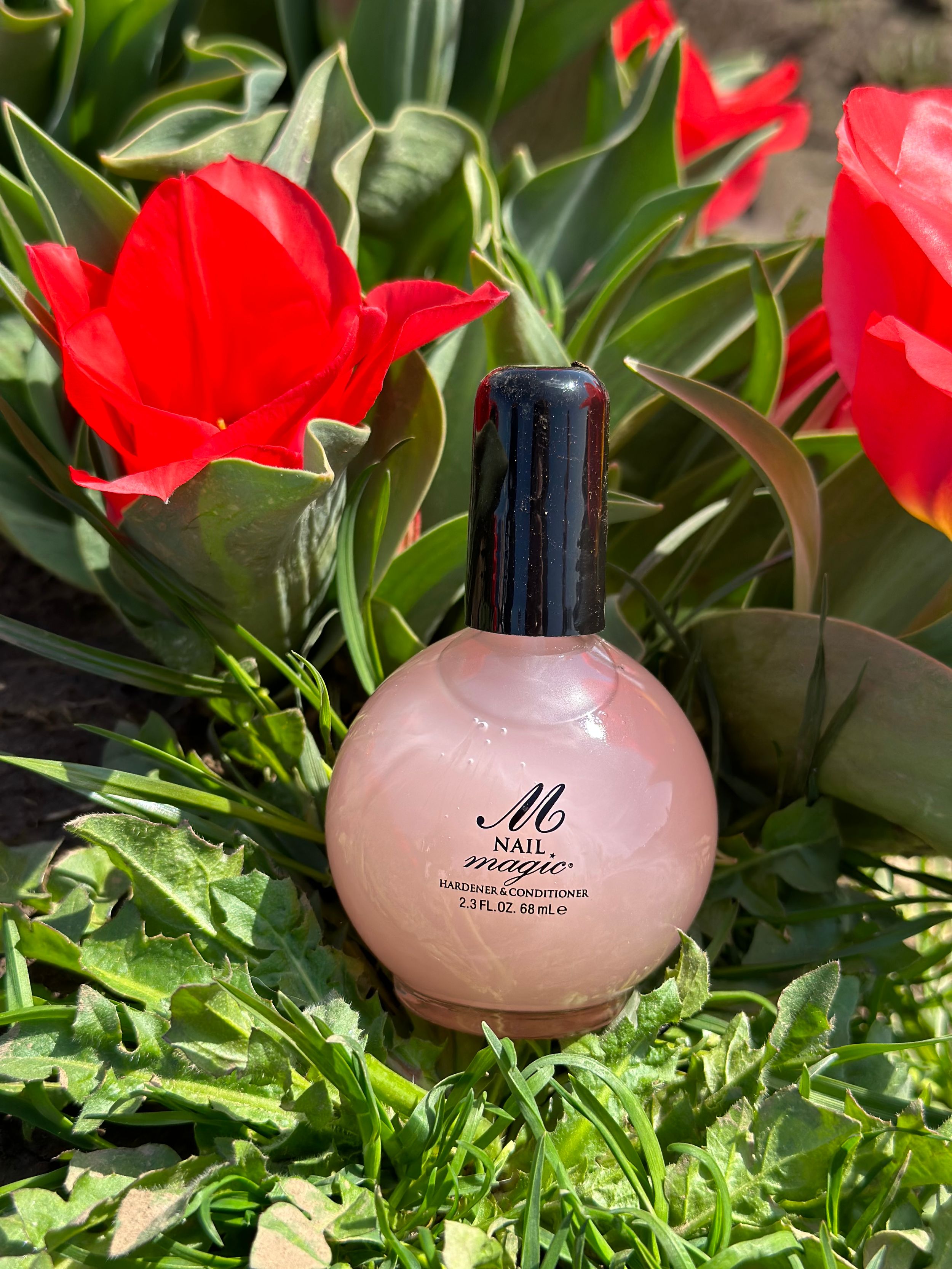 Pink nail polish bottle nestled among blooming red tulips and green foliage.