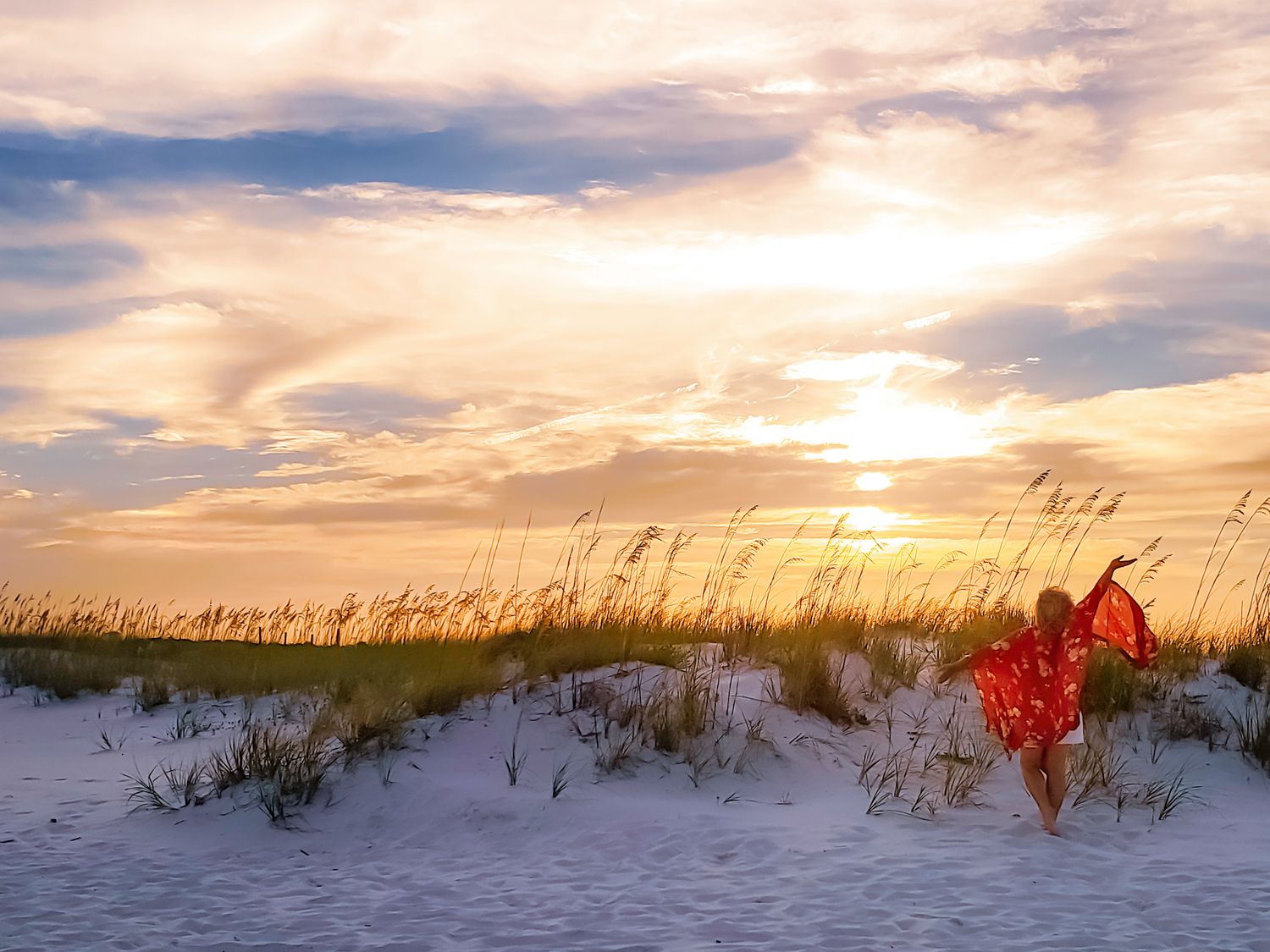 Stunning beach sunset with sea oats silhouetted against golden clouds and a red marker in the sand dunes.