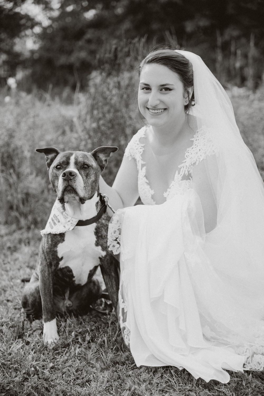 Wedding portrait featuring a pit bull mix dog wearing a bowtie alongside bride in lace dress.