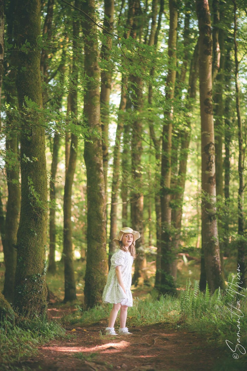 Bluebell Forest Boyle