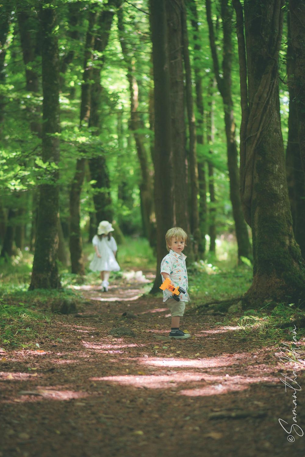 Bluebell Forest Boyle