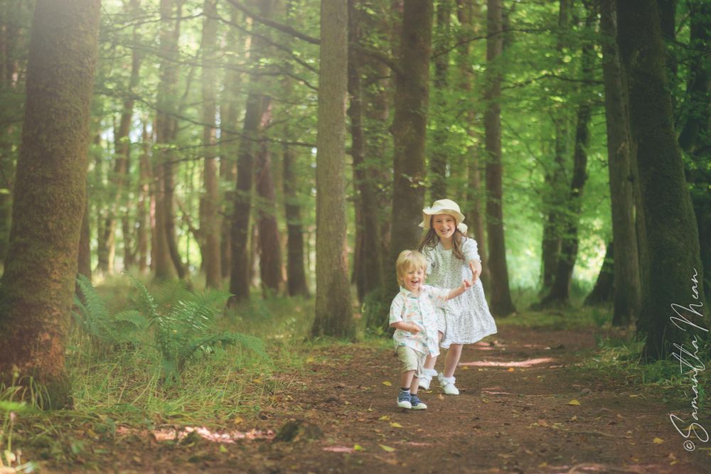 Bluebell Forest Boyle