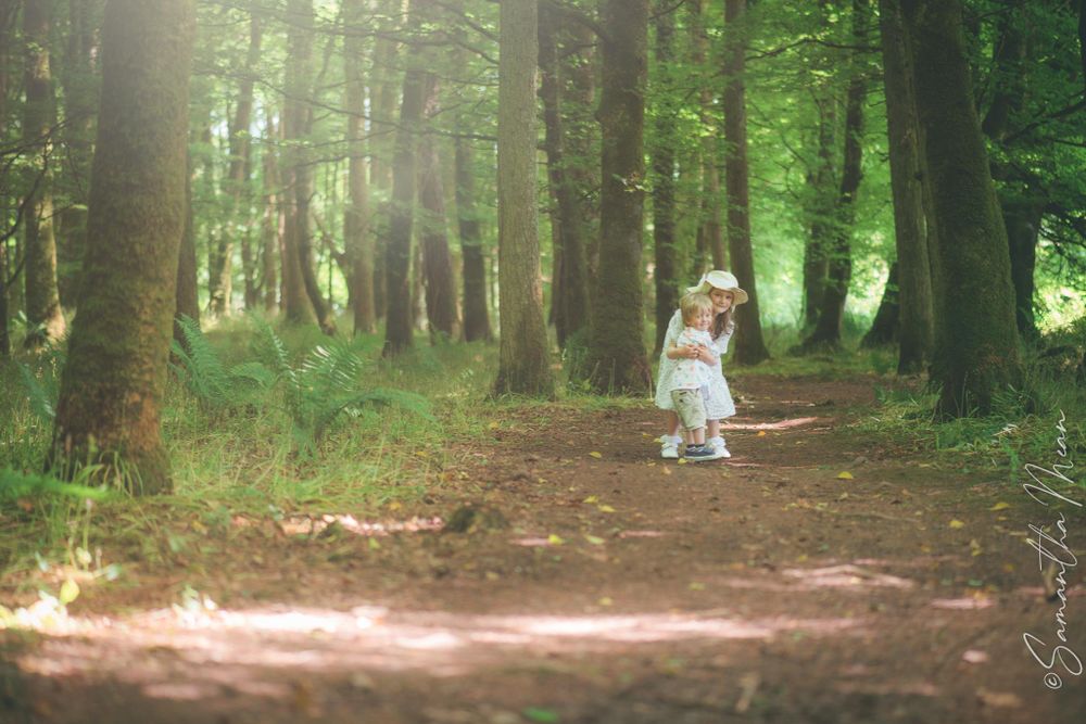 Bluebell Forest Boyle