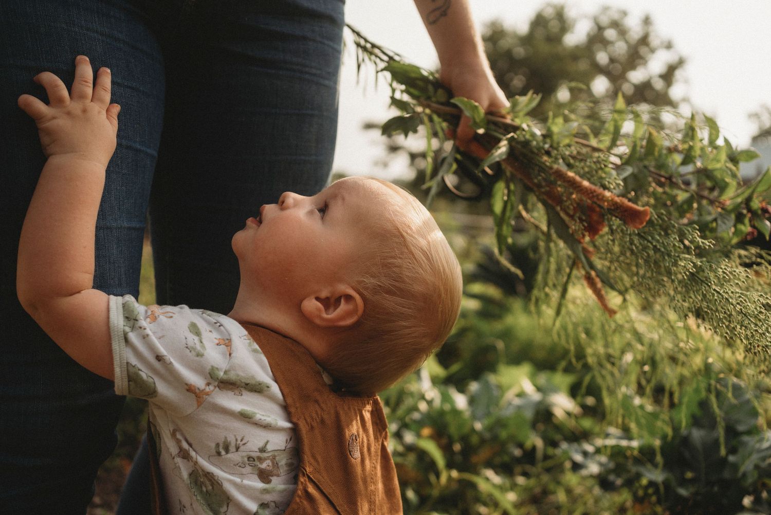 Small child reaches up excitedly toward produce being harvested in a lush garden setting.