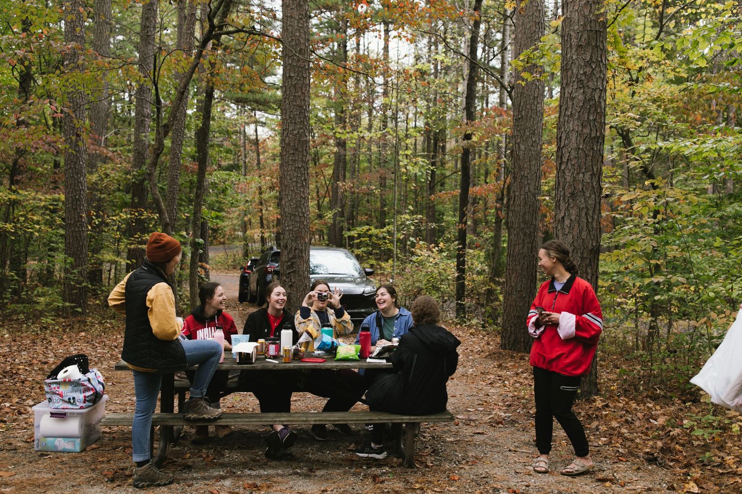 Group enjoying a picnic meal at wooden table in autumn forest surrounded by tall trees.