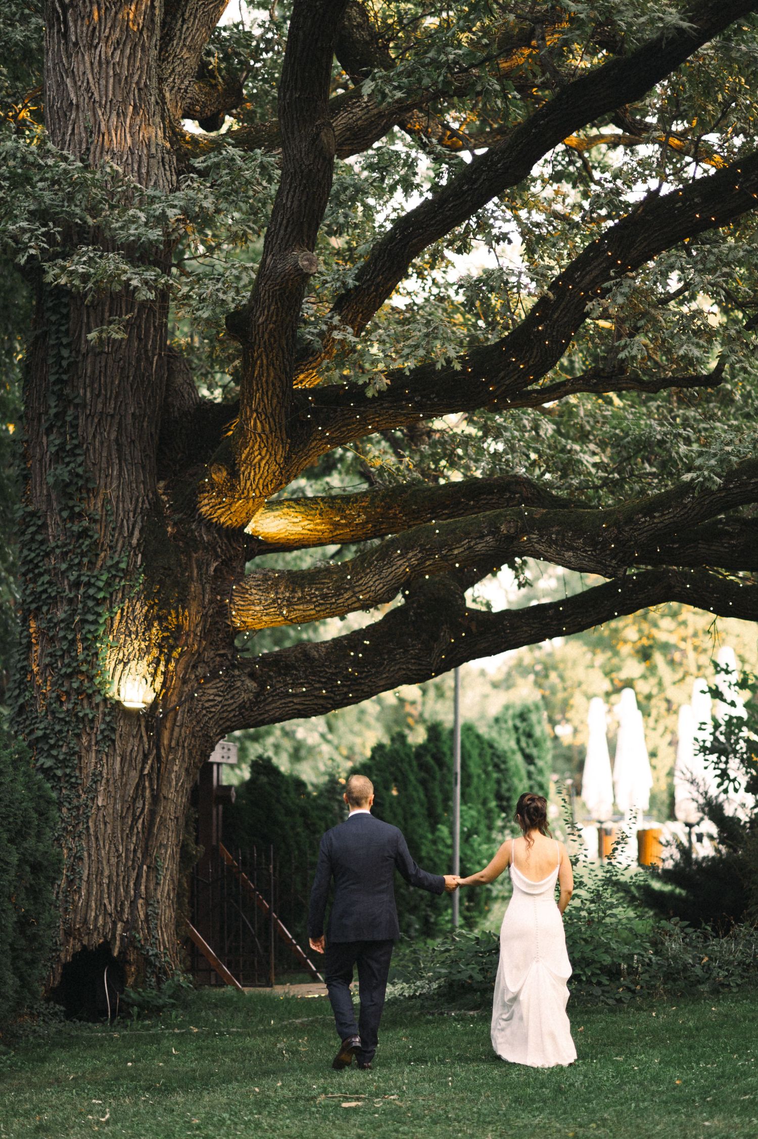 A couple walks beneath a majestic illuminated tree at dusk during their outdoor wedding celebration.
