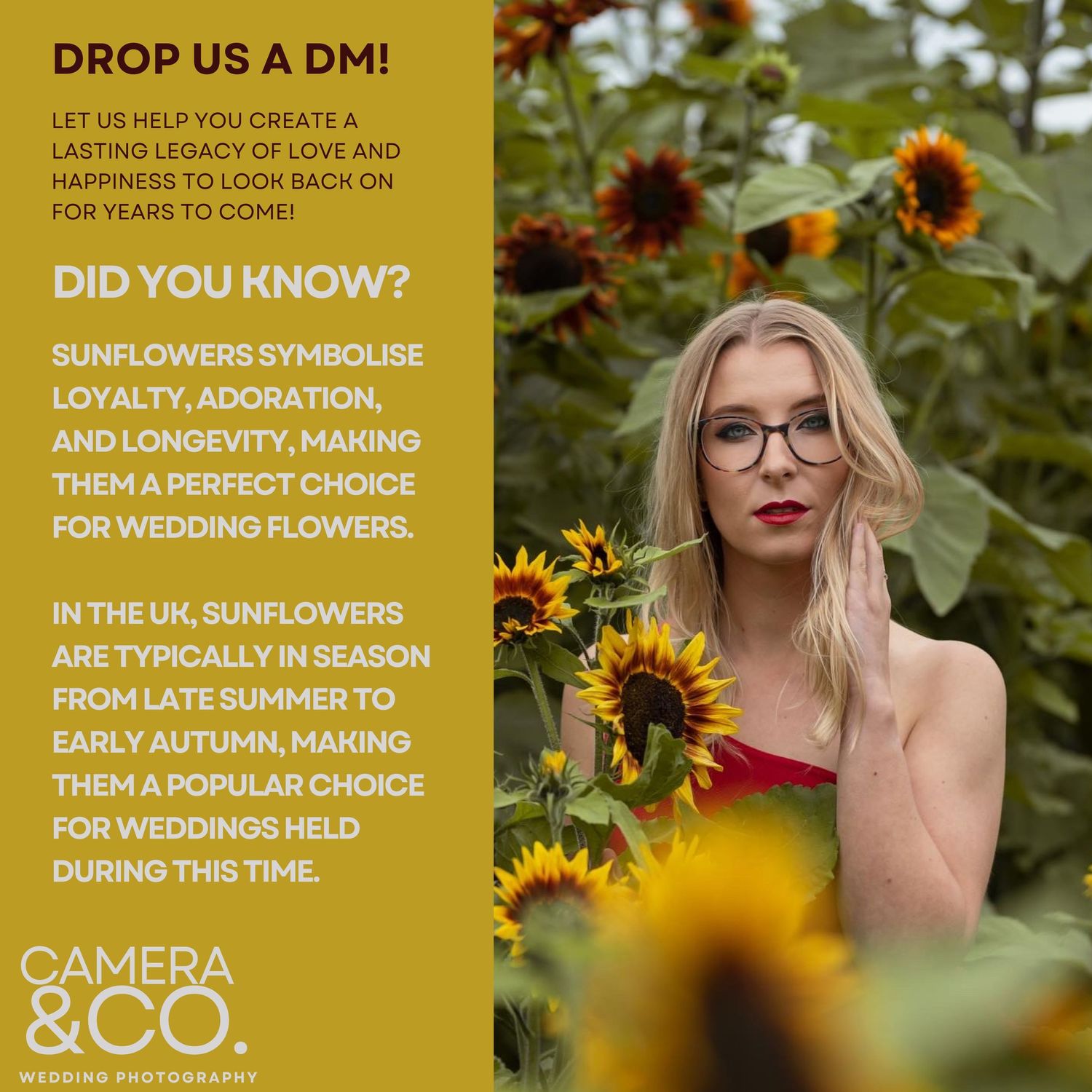 Sunflower field marketing image with text overlay about wedding photography services.