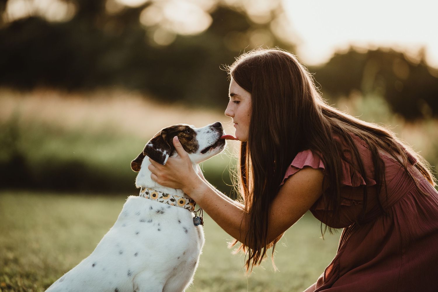 Person in burgundy dress shares a tender moment with their spotted dog in golden evening light.