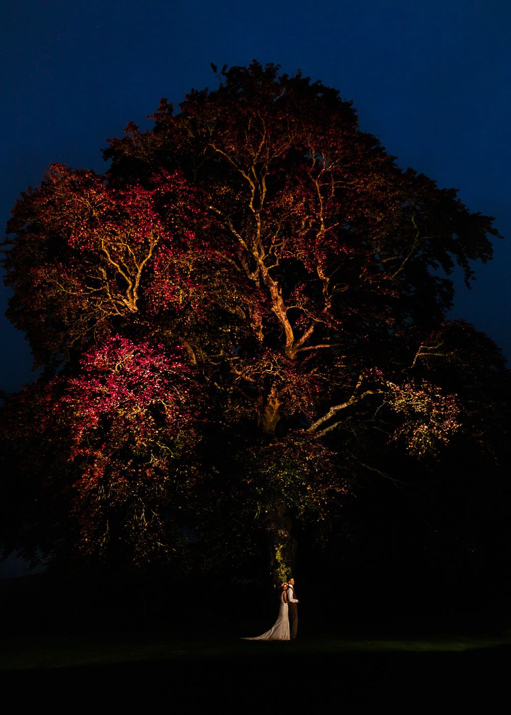 Wedding couple silhouetted beneath a dramatically lit tree with red and orange illumination at night.