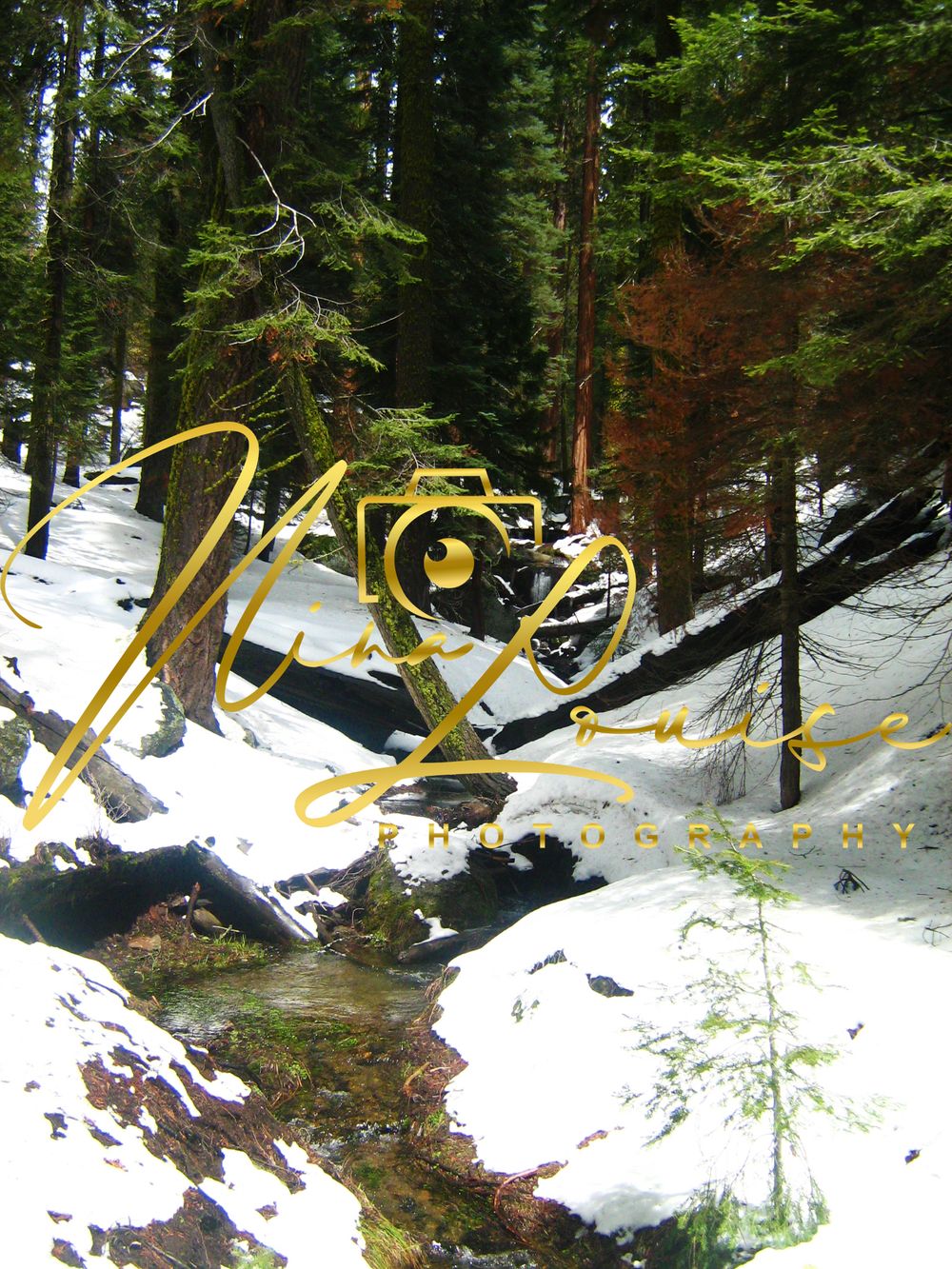 Snowy rivers USA Sequoia