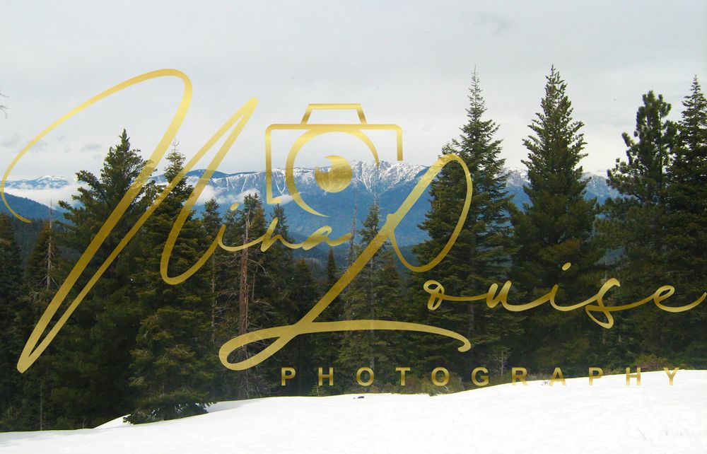 Snowy Mountains USA