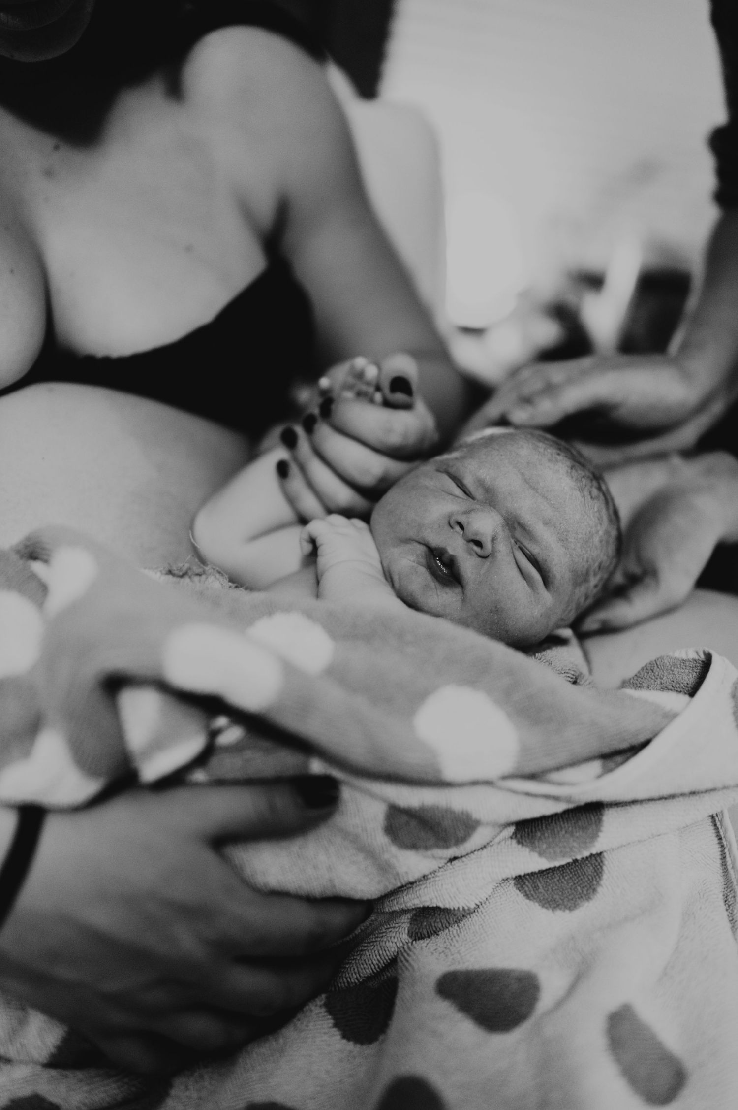 quad cities birth photographer
